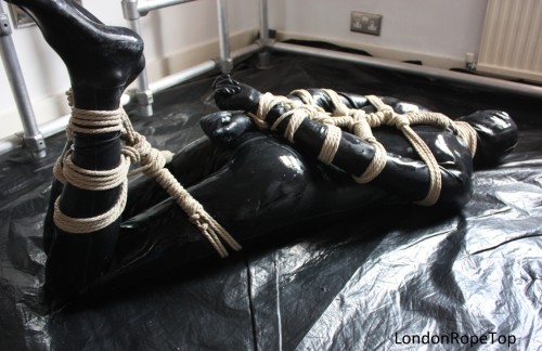 Hogtied Rubberguy