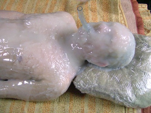 Silicone Mummy