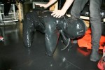 Rubber Puppy